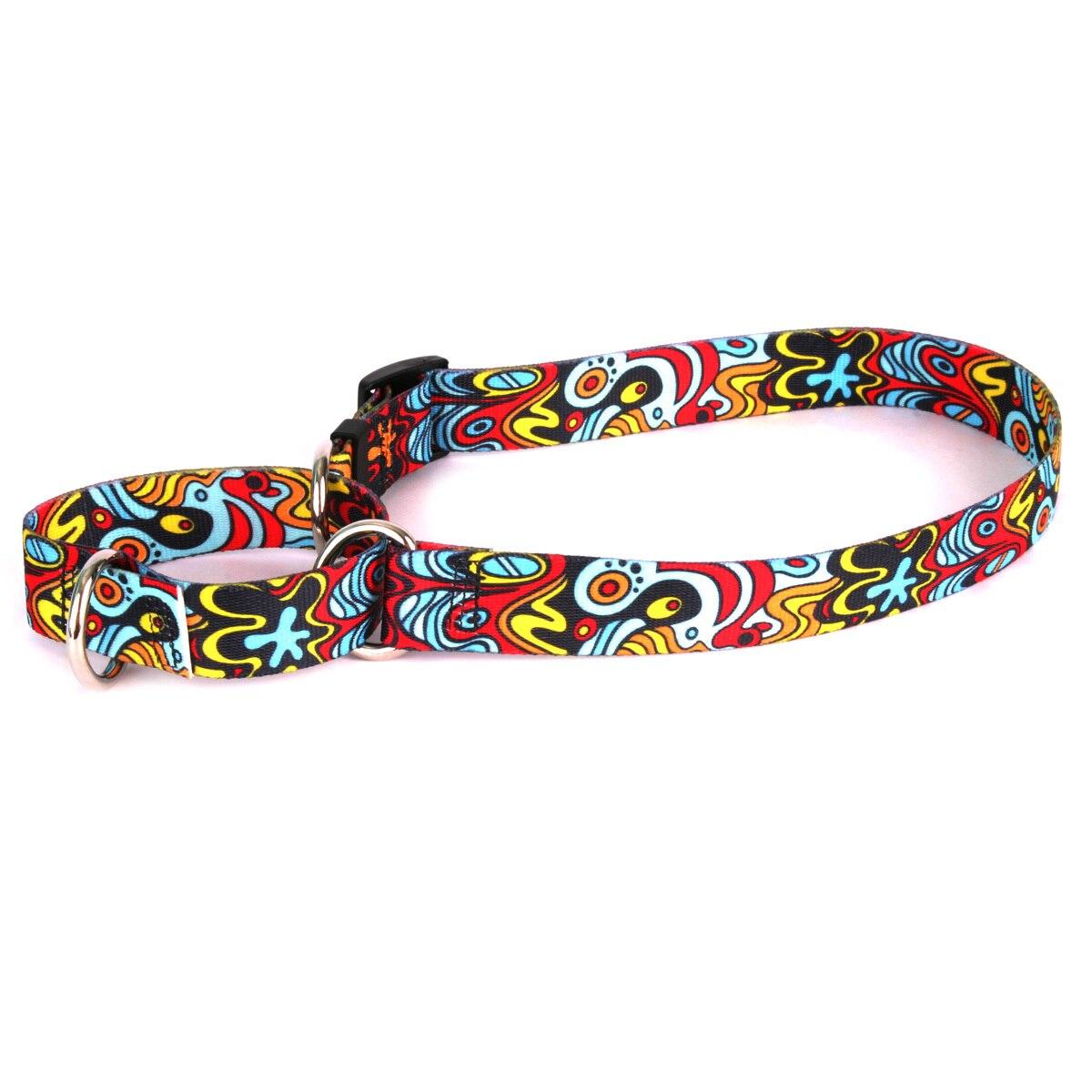 Martingale/Slip Pet Collar, Pop Art Collection | Yellow Dog Design