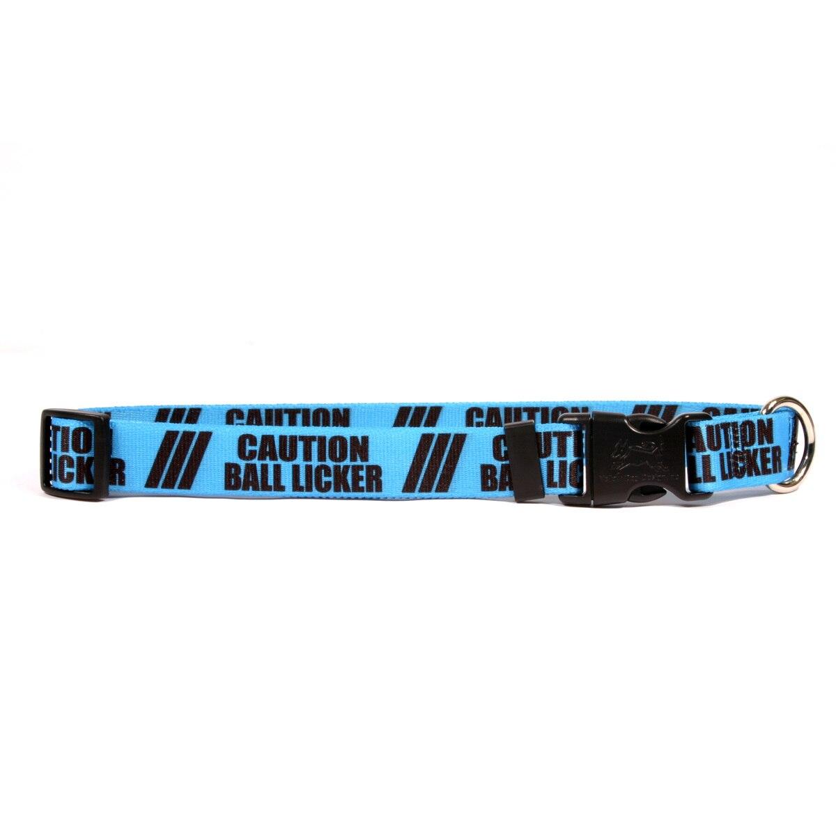 Bicycles Dog Collar by Yellow Dog Design, Inc - Order Today at