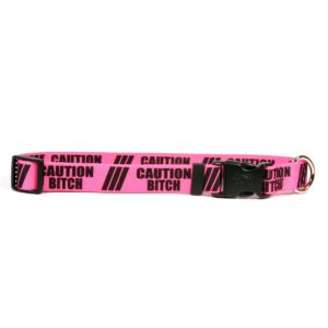 Yellow Dog Design Southern Dawg Premium Dog Collars All Sizes and Colors 