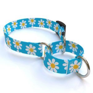 Yellow Dog Design Teal Flowers Dog Collar 