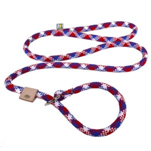 Skulls Coupler Dog Leash by Yellow Dog Design, Inc - Order Today at