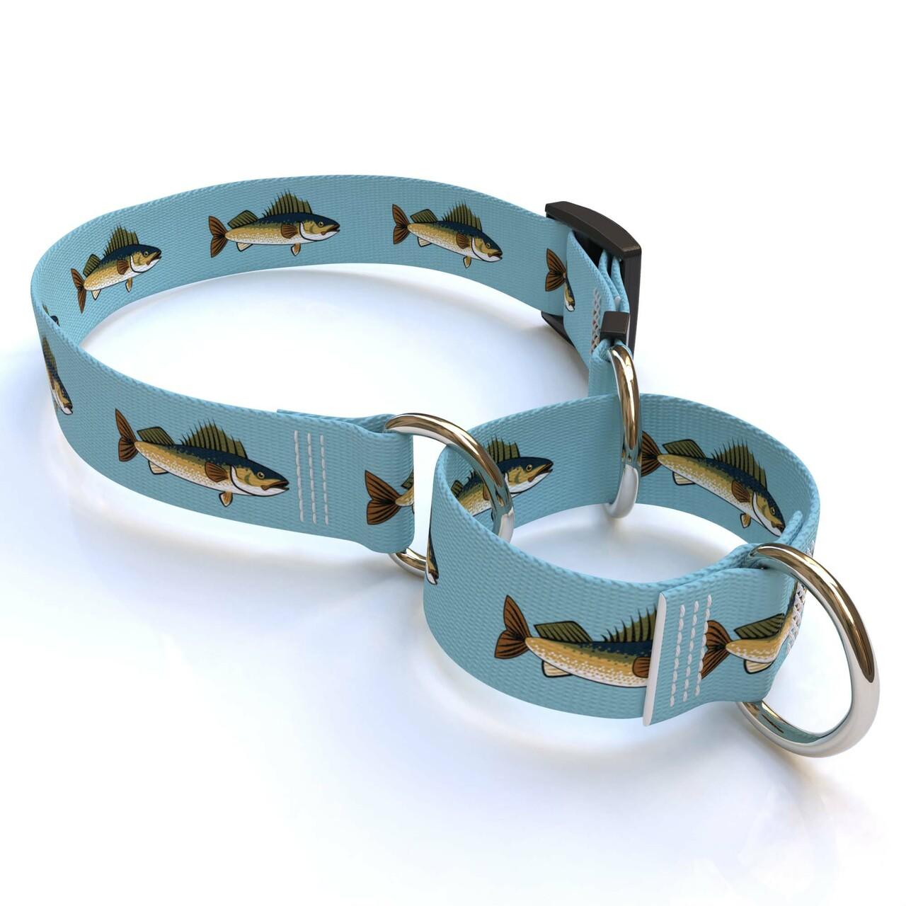 Dog collars shop with fish design