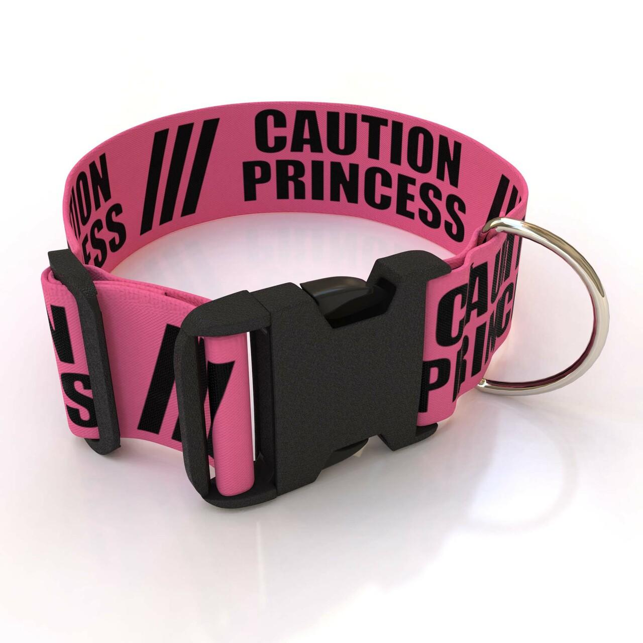 2 Inch Caution Princess Dog Collar by Yellow Dog Design, Inc Order Today at